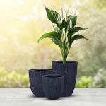 مركن أشجار مخطط كبير رمادي قاتم وودي