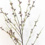 غصن ورد الربيع وودي