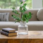 فازة مجعدة وودي