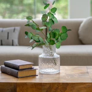 فازة مجعدة وودي