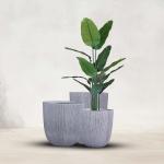 مركن أشجار مخطط كبير وودي