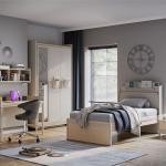 كول مكتبة كتب بيج وودي