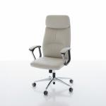 ألفا كرسي مكتب جلد بيج بمسند ظهر عالي وودي