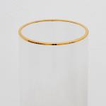 فازة طويلة وودي