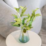 فازة مموجة خضراء وودي