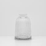 فازة شفافة مخططة وودي