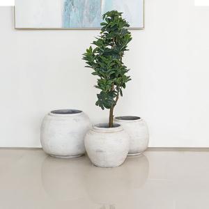 مركن أشجار فخار رصاصي صغير وودي