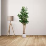 شجر بامبو 230 سم وودي