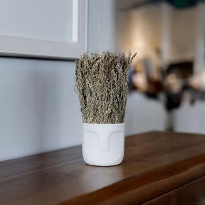 فازة فازة بورد مجفف سيراميك علي شكل وجه وودي