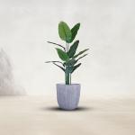 مركن أشجار مخطط صغير وودي