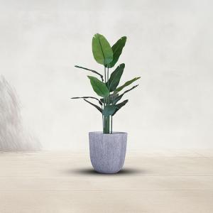 مركن أشجار مخطط صغير وودي