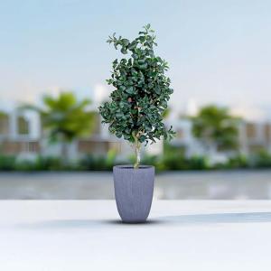 مركن أشجار مخطط كبير رمادي وودي