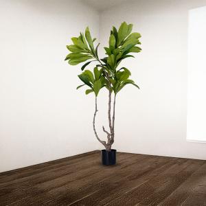 شجرة الياسمين 180 سم وودي