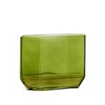 فازة خضراء وودي